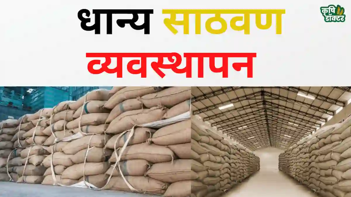 धान्य साठवण (grain storage) व्यवस्थापण: संपूर्ण स्टोरेज प्लॅन