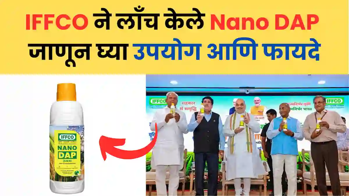 dap fertilizer 50 kg ते nano dap अर्धा लीटर बॉटल ची संपूर्ण माहिती