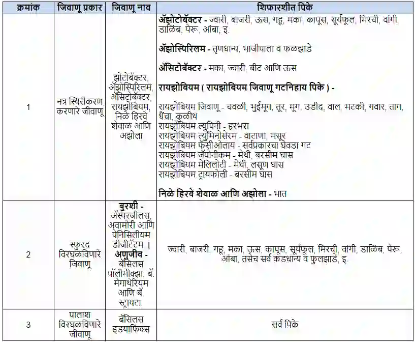 Biofertilizer (जिवाणू संवर्धक)