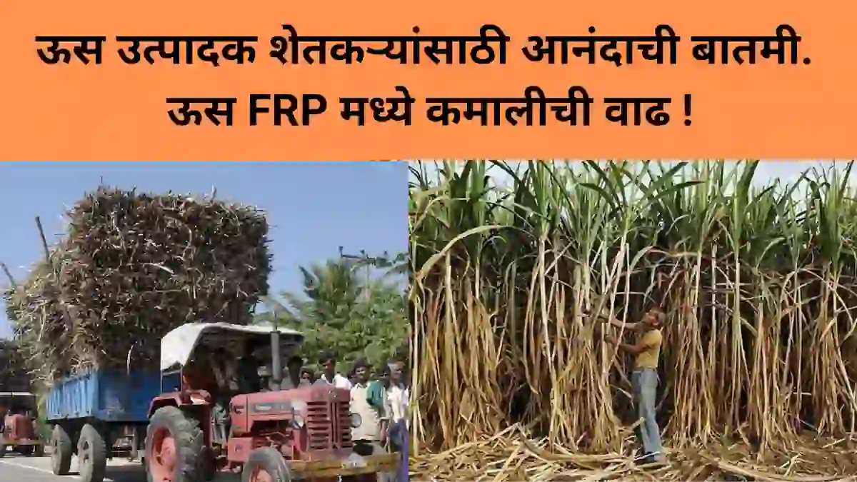sugarcane frp