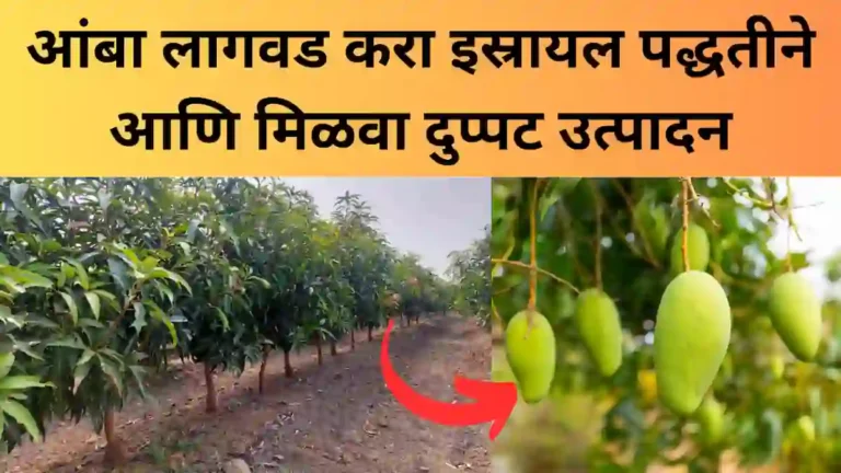 Soybean Fertilizer Dose सोयाबीन खत व्यवस्थापन ची संपूर्ण माहिती 0142