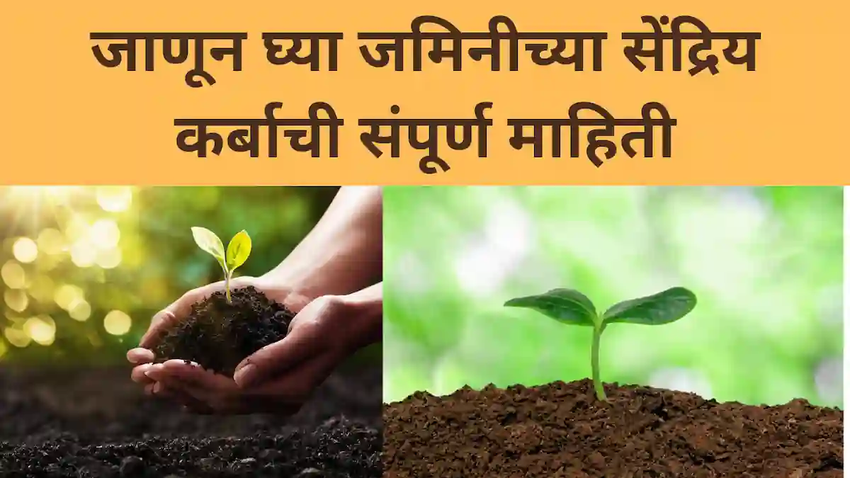 organic carbon: जाणून घ्या जमीनच्या सेंद्रिय कर्ब ची A to Z माहिती