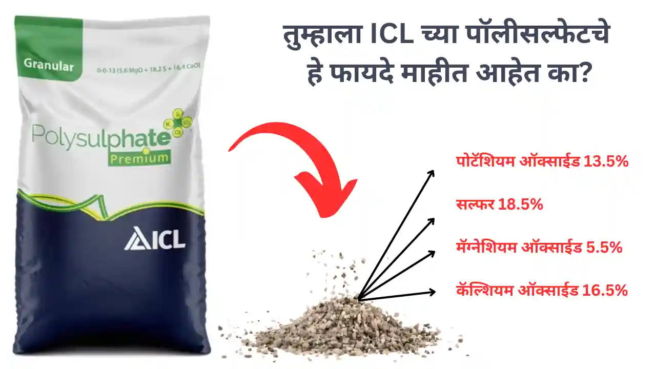 polysulphate: आयसीएल पॉलीसल्फेट चा उपयोग आणि फायदे