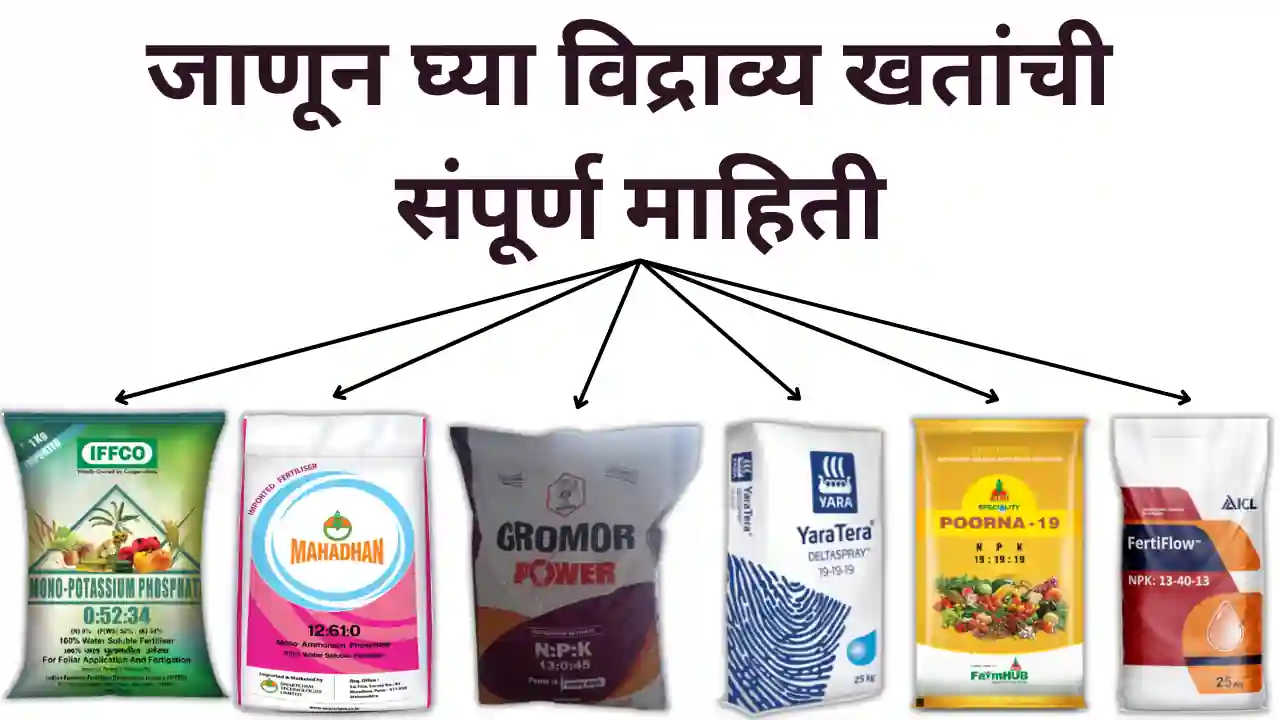 water soluble fertilizers: जाणून घ्या विद्राव्य खतांची संपूर्ण माहिती