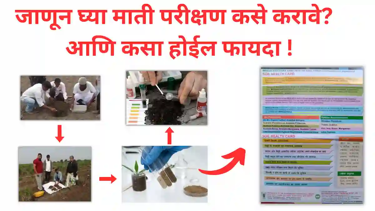 soil test: माती परीक्षण कसे करावे? जाणून घ्या अचूक पद्धत आणि फायदे