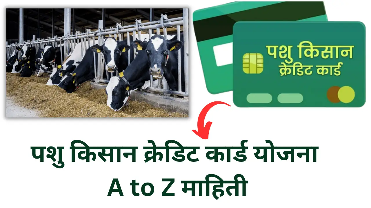 pashu kisan credit card