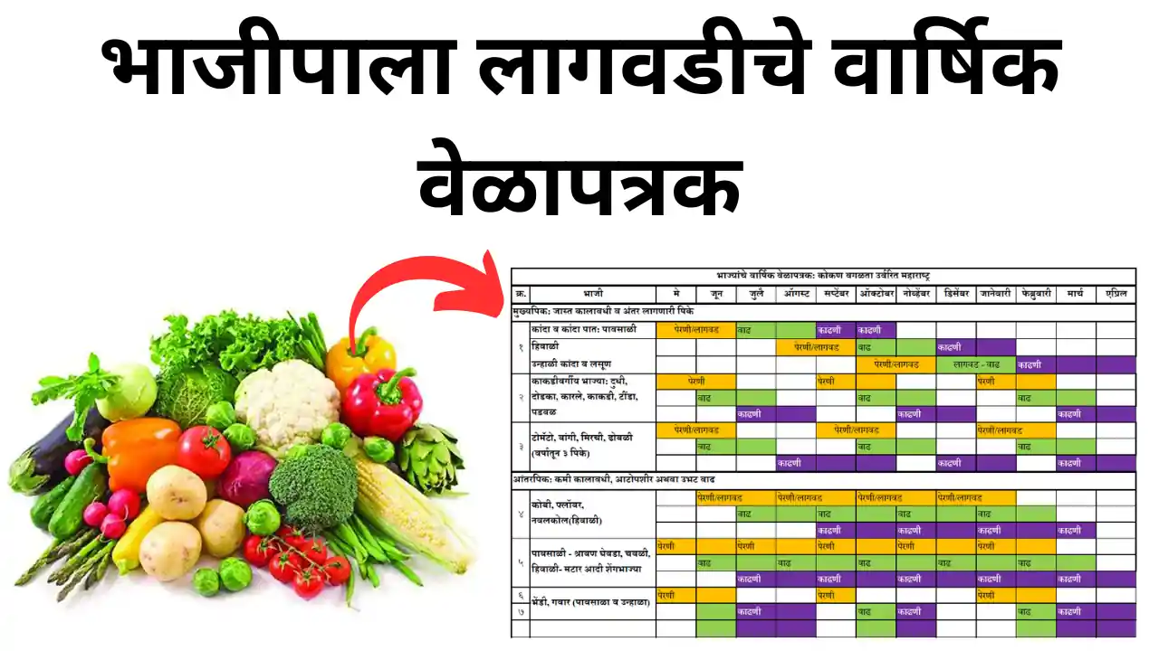 vegetables grown in Maharashtra: भाजीपाला लागवडीचे वार्षिक वेळापत्रक