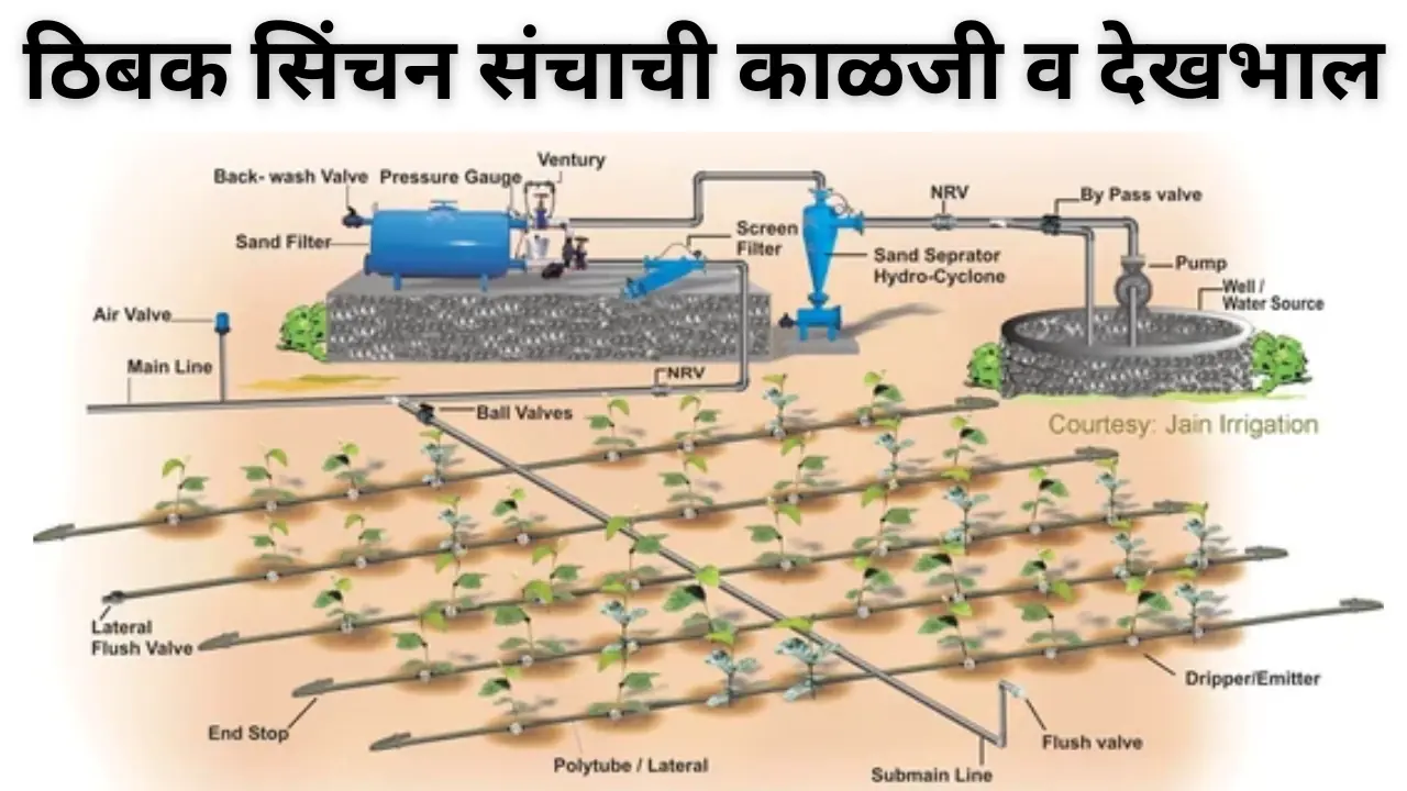 thibak sinchan: ठिबक सिंचन संचाची काळजी व देखभाल