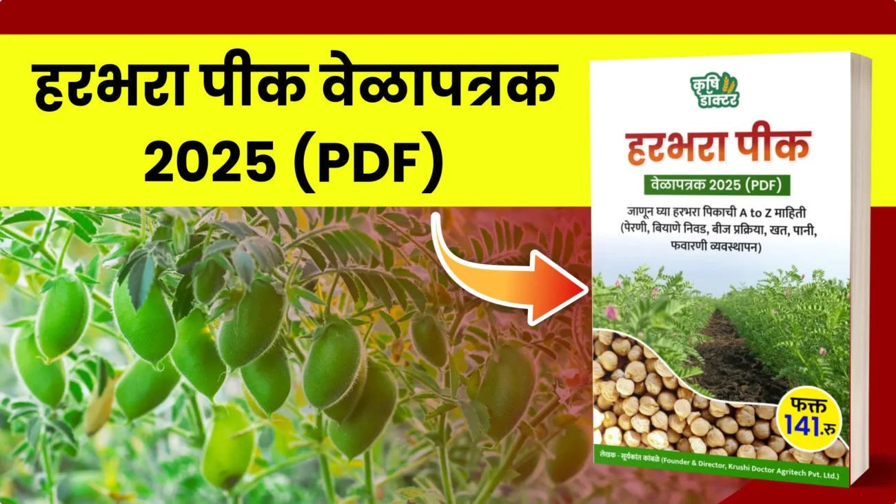 हरभरा शेड्यूल thumbnail