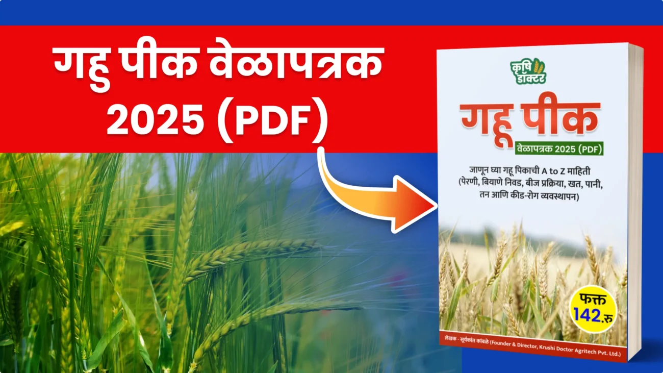 गहू शेड्युल thumbnail