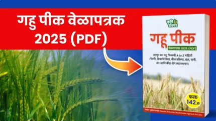 गहू शेड्युल thumbnail