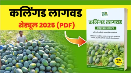 कलिंगड पीक वेळापत्रक thumbnail