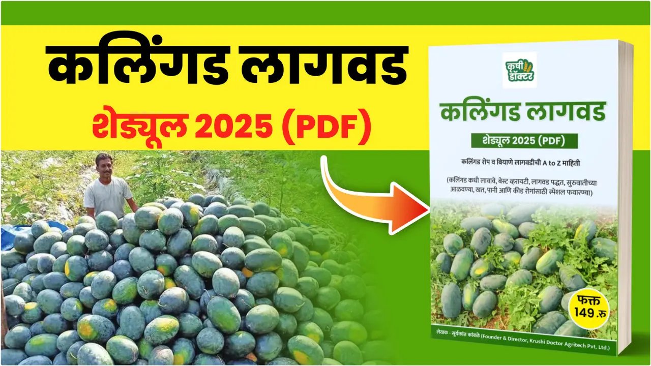 कलिंगड पीक वेळापत्रक thumbnail