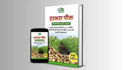 हरभरा शेड्यूल फोटो