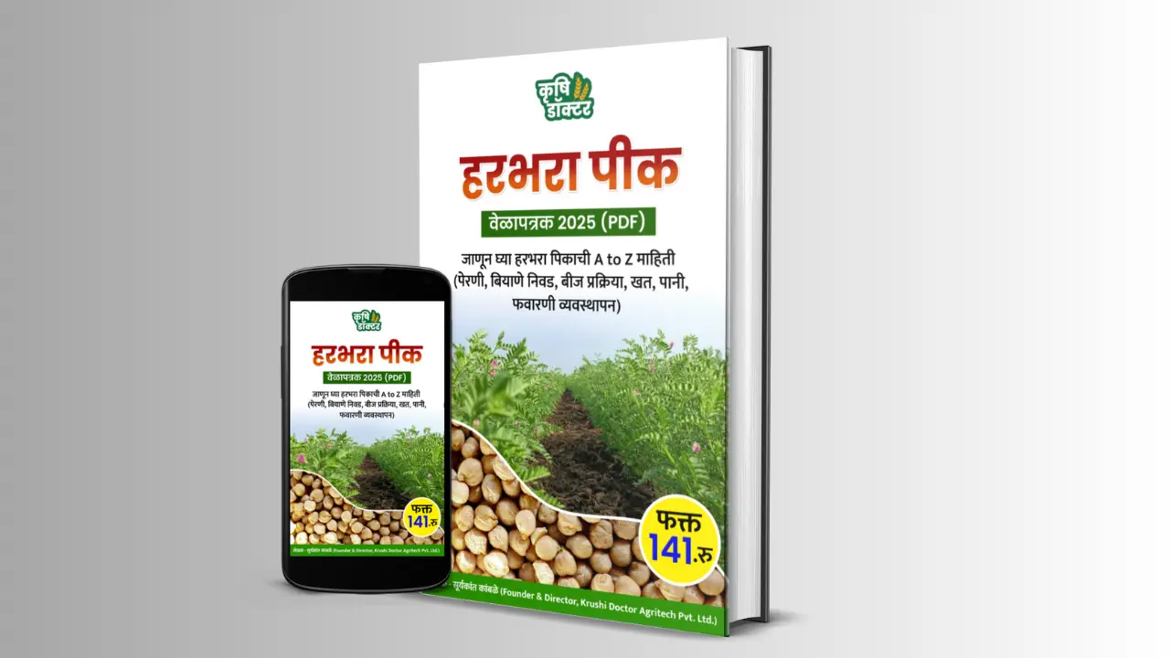 हरभरा शेड्यूल फोटो