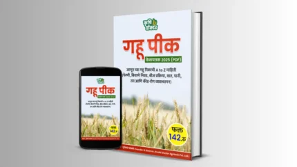 गहू शेड्युल फोटो