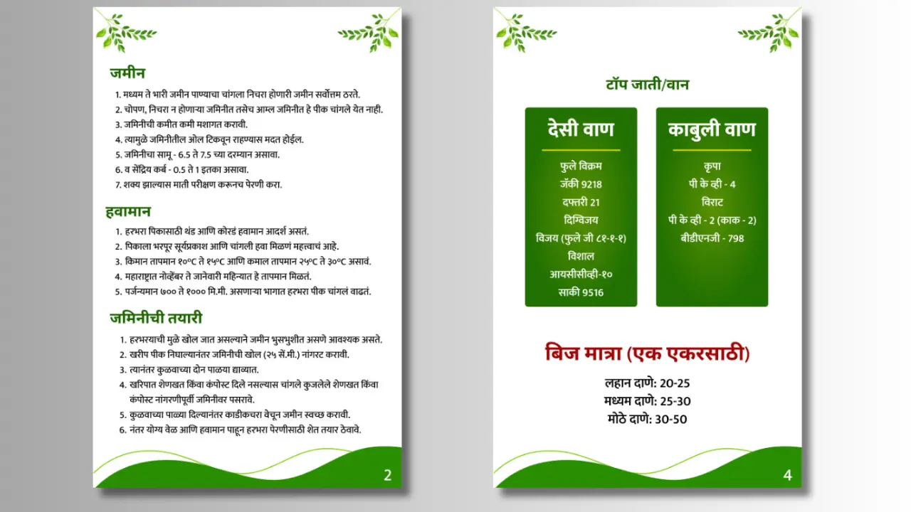 हरभरा लागवड शेड्यूल 2025 (PDF) (1) हरभरा पीक वेळापत्रक 2025 (PDF) - Image 3