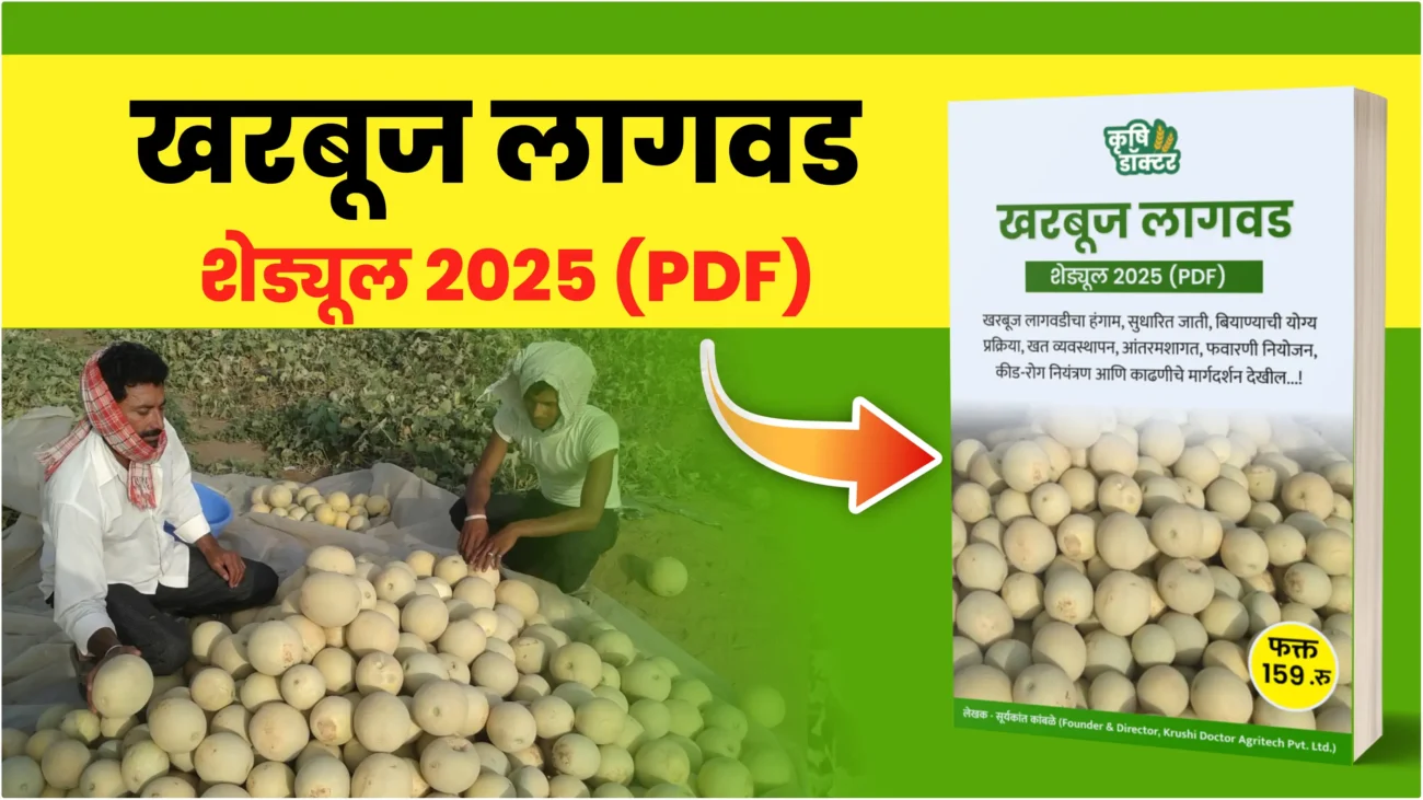 Muskmelon Farming PDF (Thumbnail)