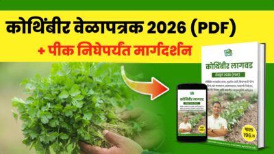 कोथिंबीर पीक वेळापत्रक 2026 (PDF) + WhatsApp मार्गदर्शन (फक्त पीक निघेपर्यंत)
