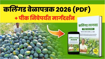 कलिंगड पीक वेळापत्रक 2026 (PDF) + WhatsApp मार्गदर्शन (फक्त पीक निघेपर्यंत)