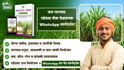 ऊस पीक वेळापत्रक 2026 (PDF) + WhatsApp मार्गदर्शन (फक्त पीक निघेपर्यंत)