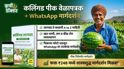 कलिंगड पीक वेळापत्रक 2026 (PDF) + WhatsApp मार्गदर्शन (फक्त पीक निघेपर्यंत)