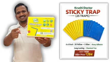 Krushi Doctor Sticky Trap