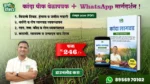Onion Farming PDF