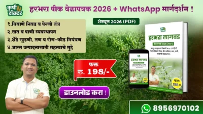 Chickpea Farming PDF