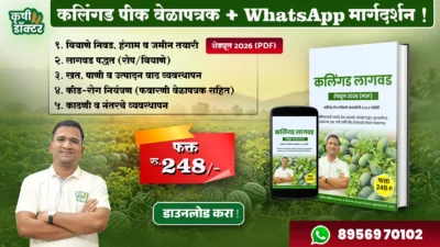 Watermelon Farming PDF