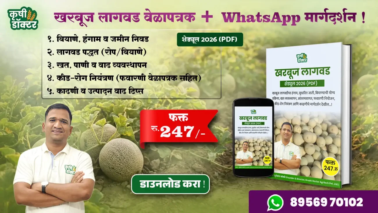 Muskmelon Farming PDF