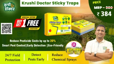 Krushi Doctor Sticky Trap Combo