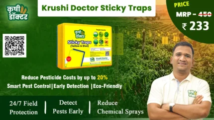 Krushi Doctor Sticky Trap