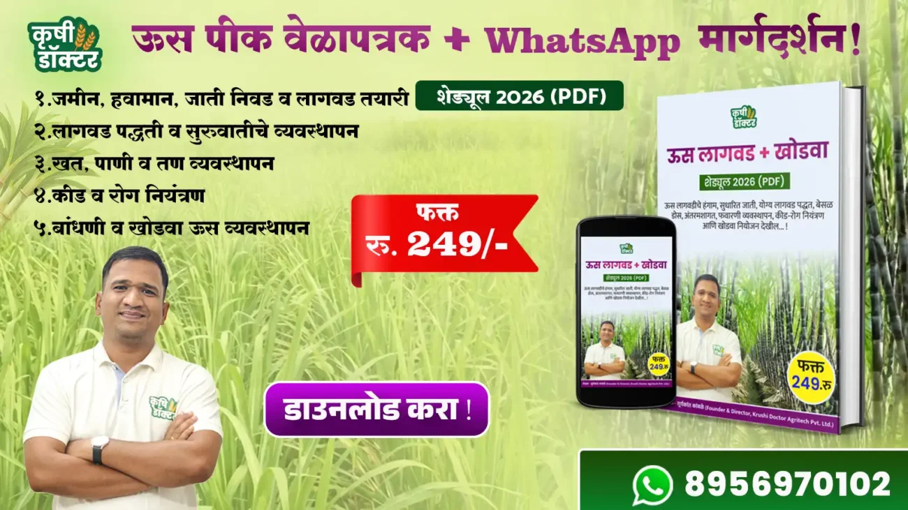 Sugarcane Farming PDF