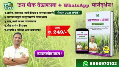 Sugarcane Farming PDF