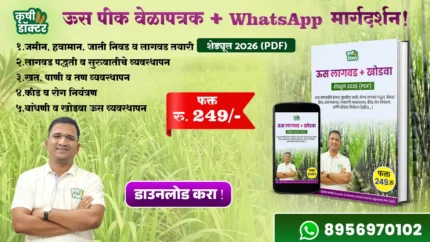 Sugarcane Farming PDF