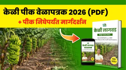 केळी पीक वेळापत्रक 2026 (PDF) + WhatsApp मार्गदर्शन