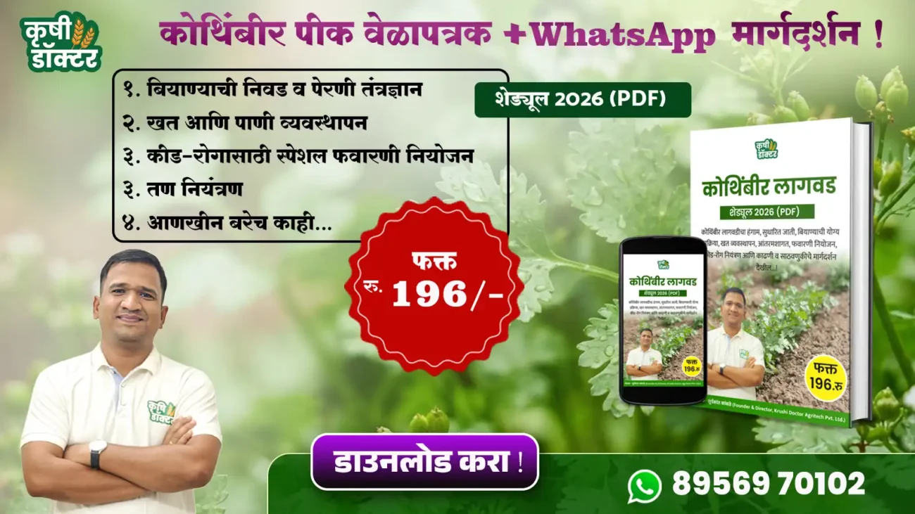 Coriander Farming PDF